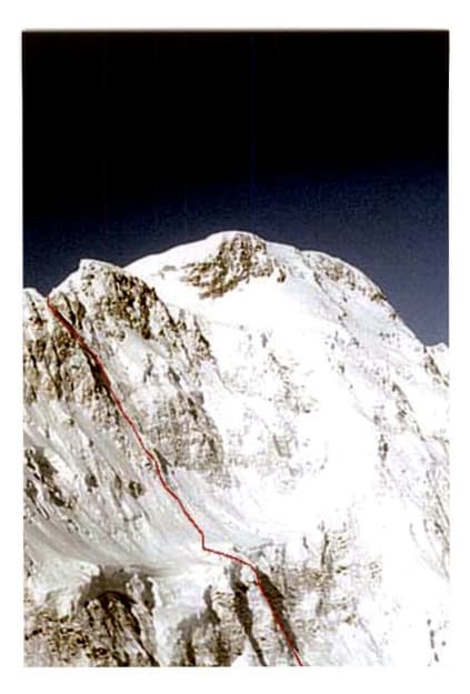 1_image_1.jpg