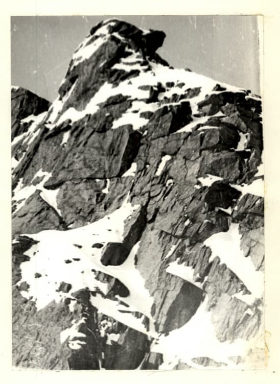 20_image_1.jpg