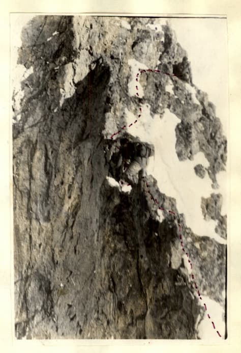 7_image_1.jpg