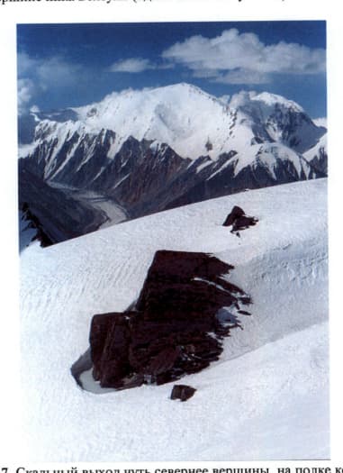7_image_2.jpg