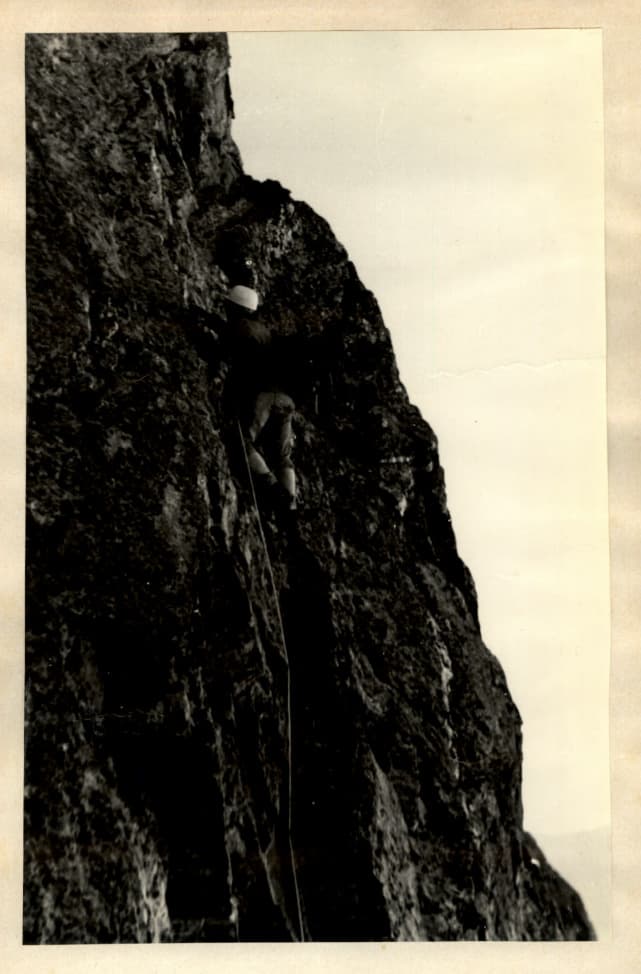 8_image_0.jpg