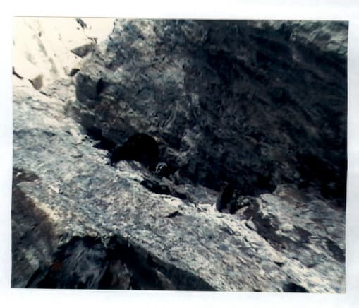 22_image_1.jpg