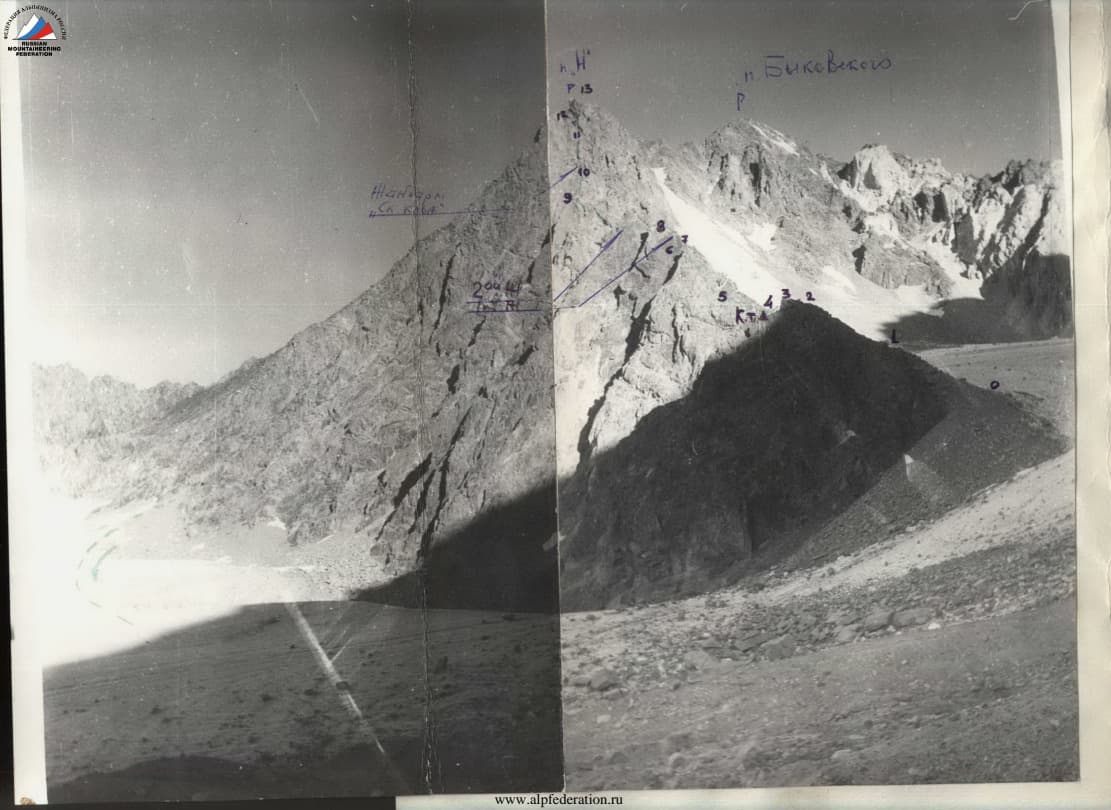 3_image_0.jpg