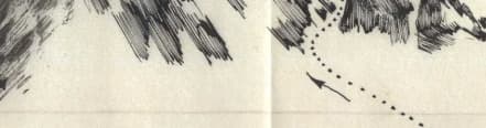 2_image_4.jpg