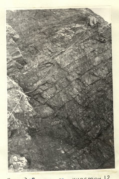 16_image_1.jpg