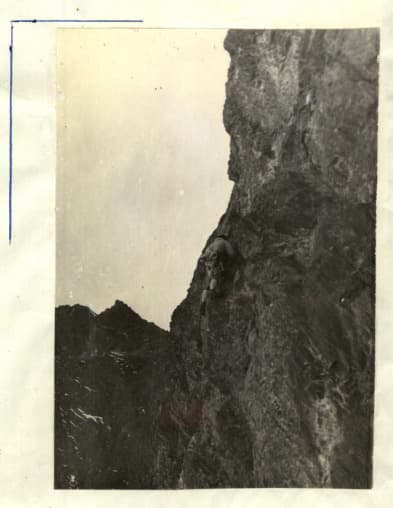 20_image_2.jpg