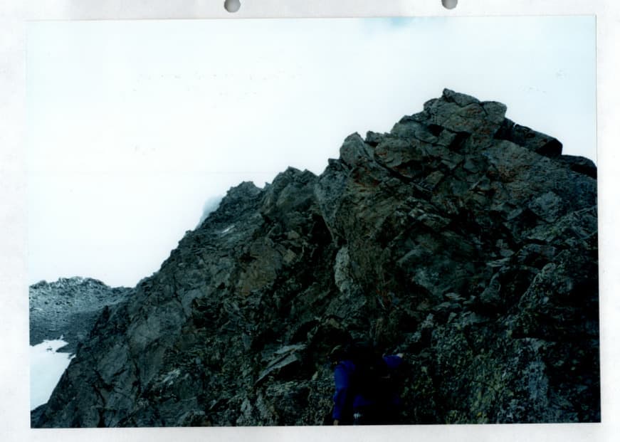 9_image_1.jpg