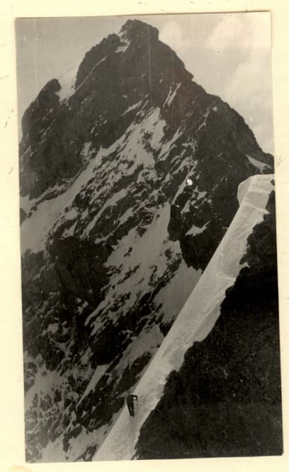 4_image_1.jpg