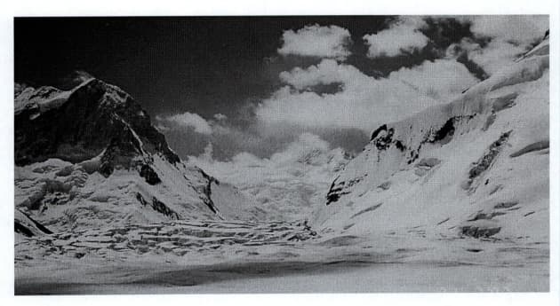 7_image_2.jpg