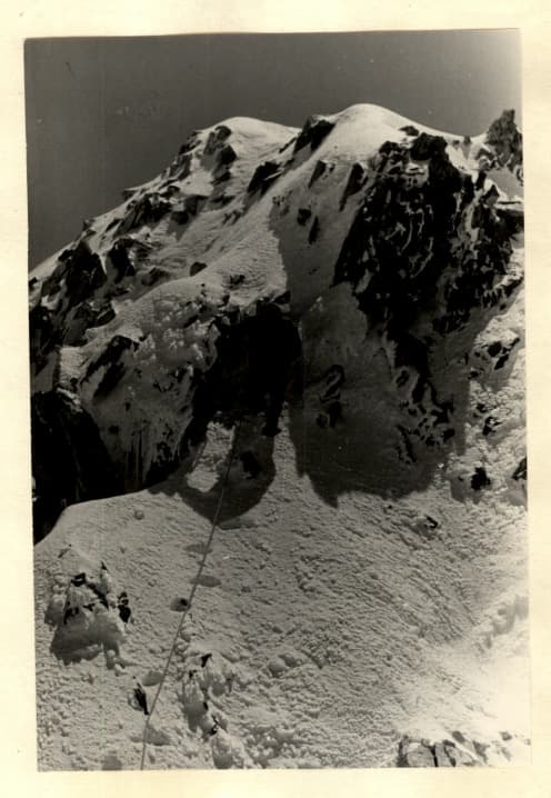 8_image_0.jpg