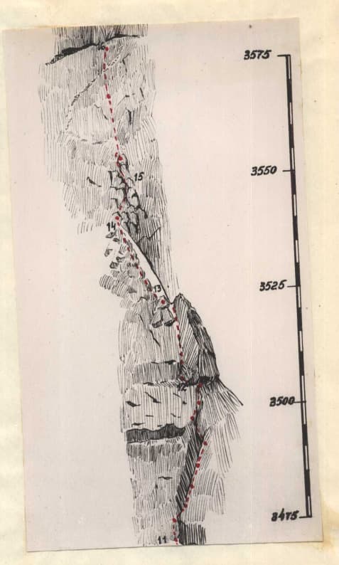 66_image_1.jpg