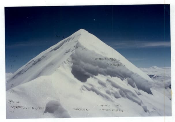 11_image_2.jpg