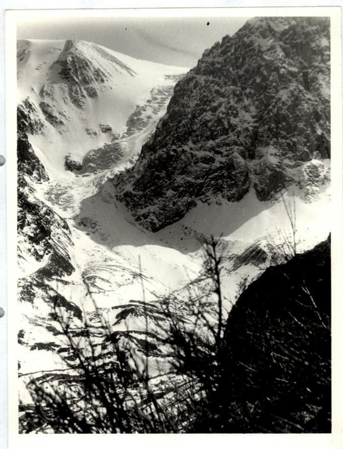 3_image_1.jpg