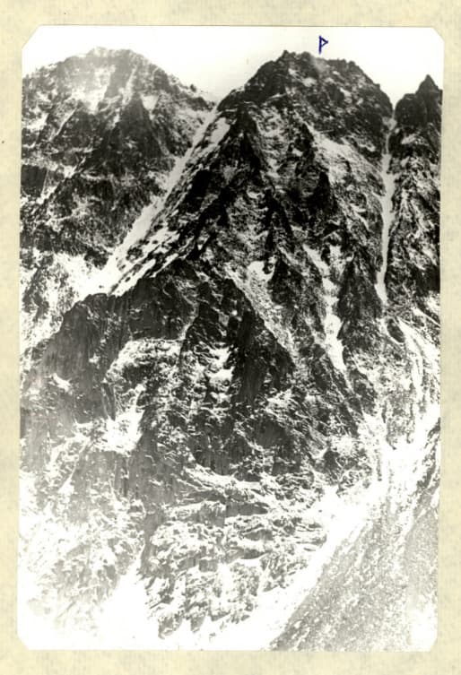1_image_1.jpg