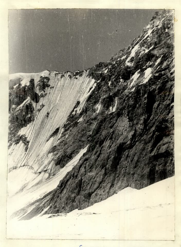 8_image_1.jpg