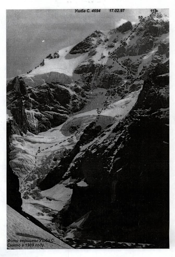 5_image_1.jpg