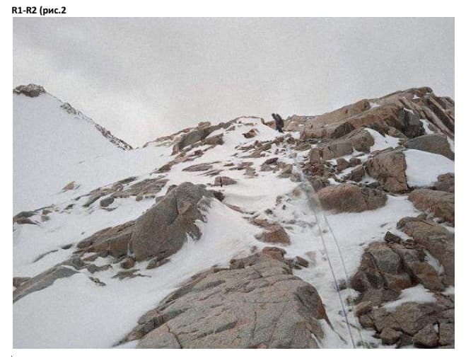 8_image_0.jpg
