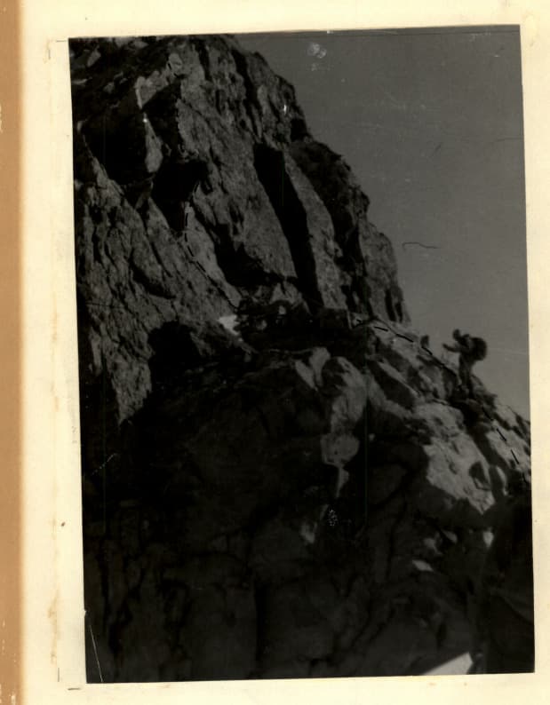 19_image_0.jpg