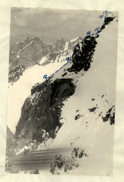 3_image_1.jpg