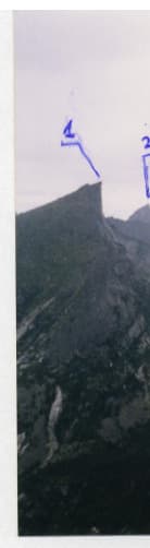2_image_1.jpg