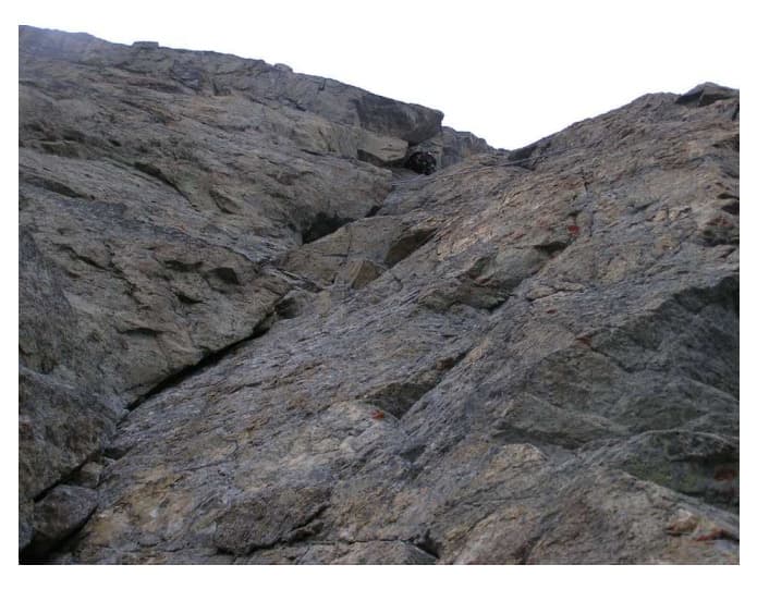 13_image_0.jpg