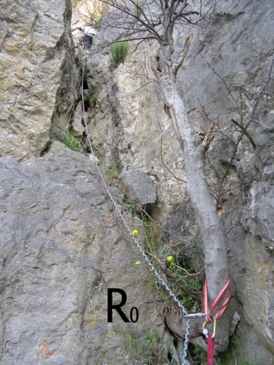 R0 copy.jpg