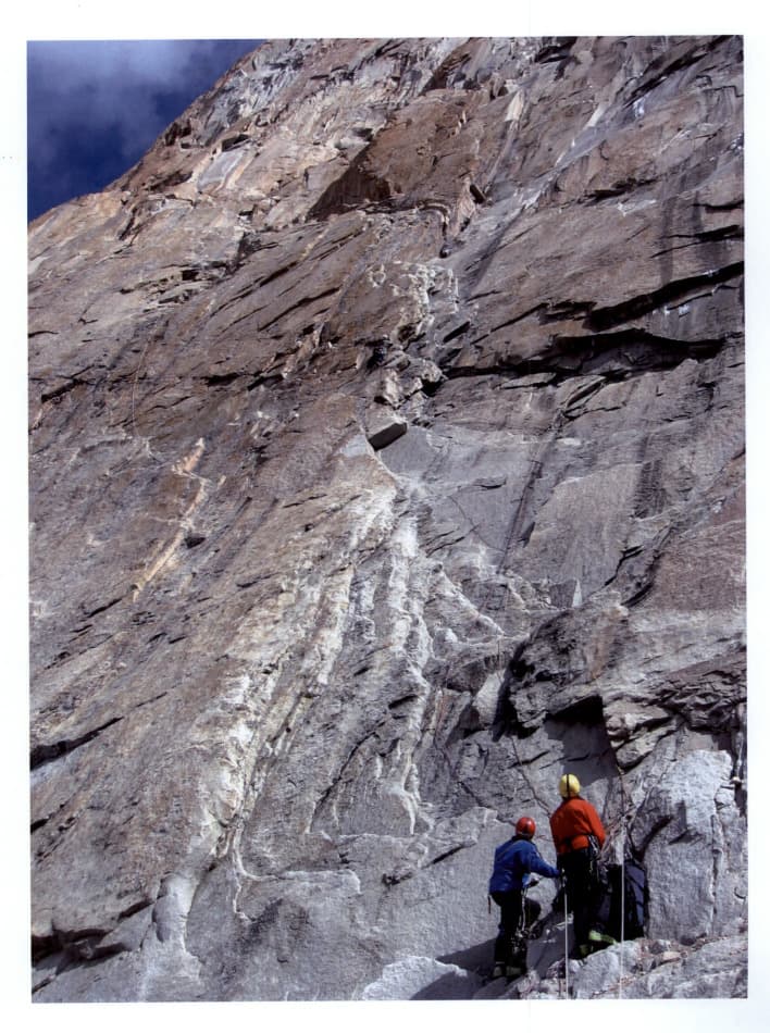 6_image_0.jpg