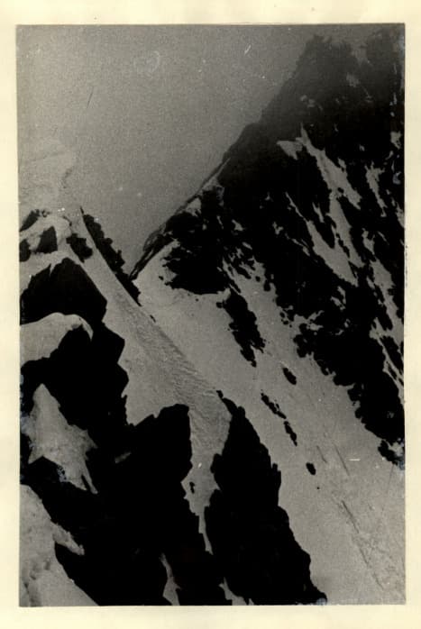 16_image_1.jpg