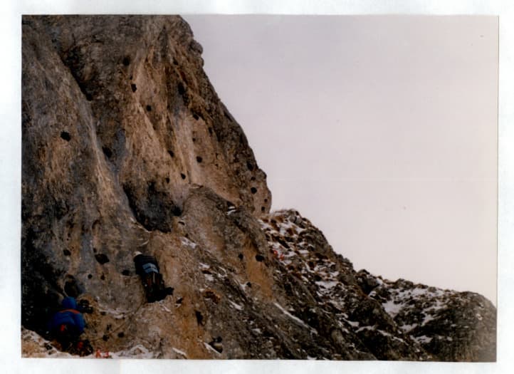 20_image_1.jpg