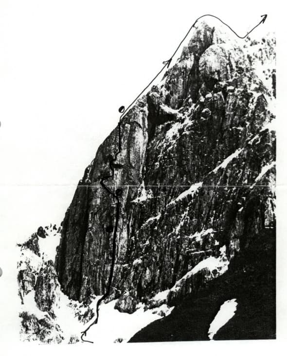 1_image_1.jpg