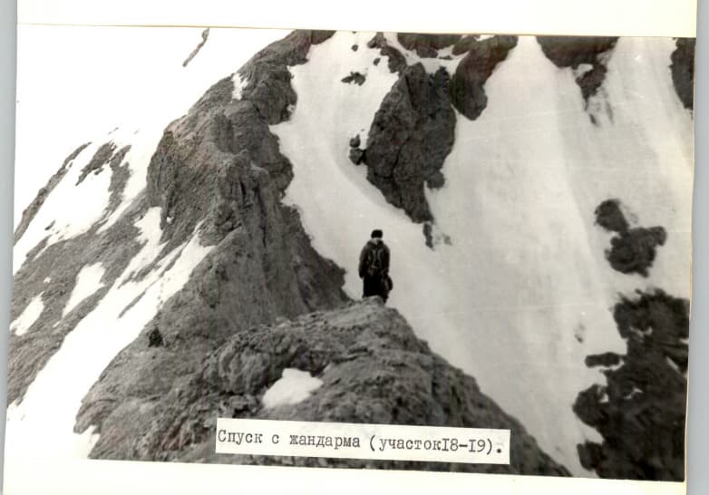 11_image_2.jpg