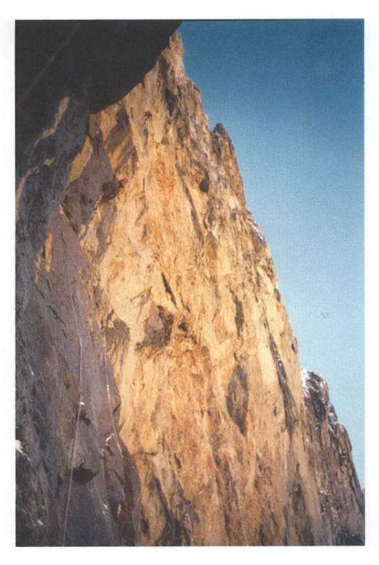 20_image_0.jpg