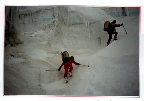 15_image_1.jpg