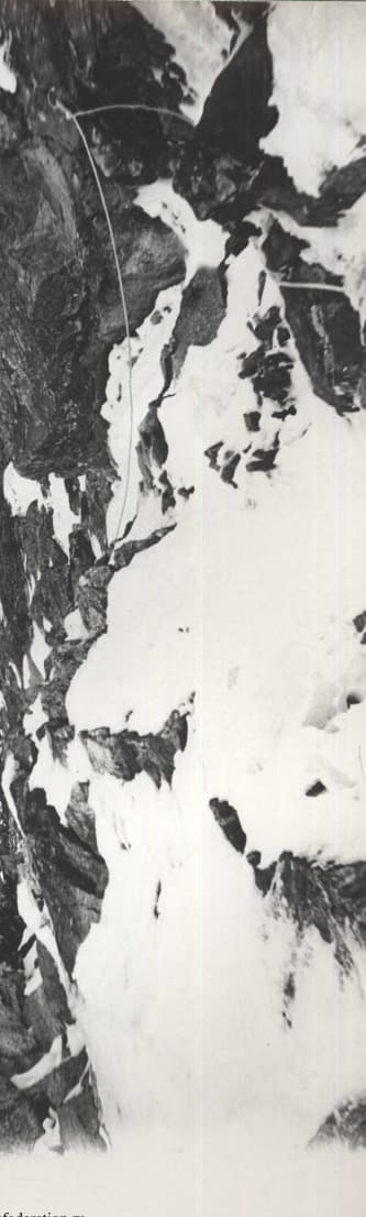25_image_0.jpg
