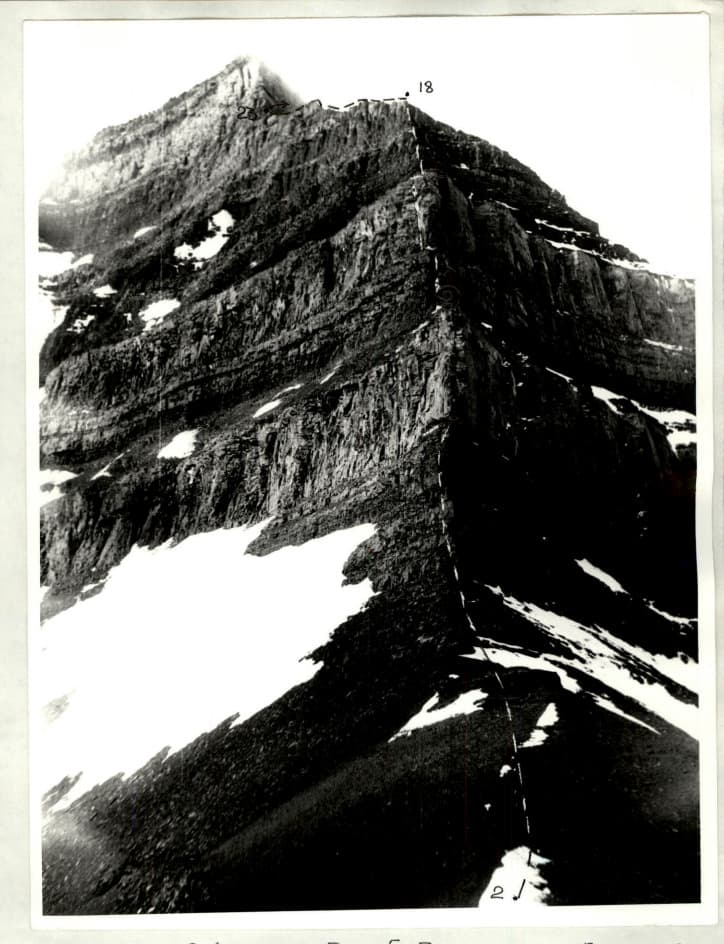 6_image_1.jpg
