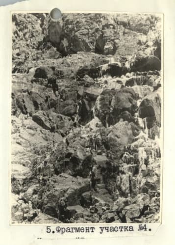 7_image_1.jpg