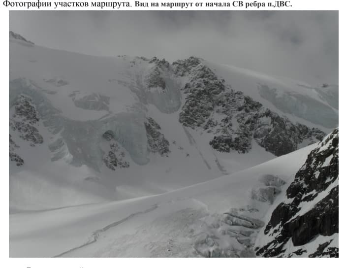 7_image_0.jpg
