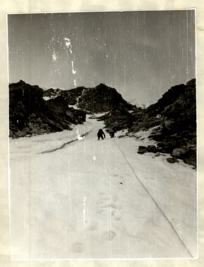7_image_1.jpg