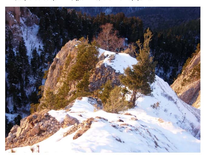 16_image_0.jpg