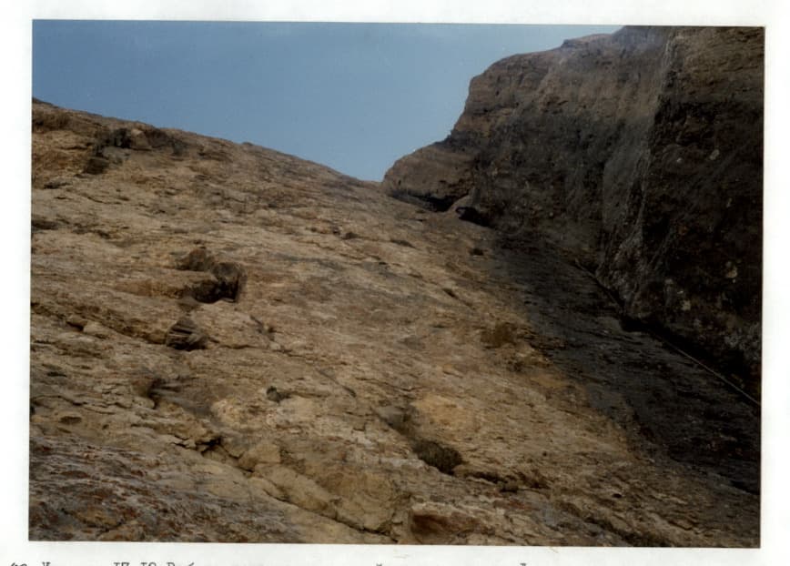 8_image_1.jpg
