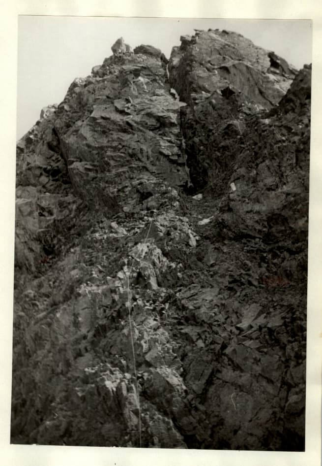 8_image_1.jpg