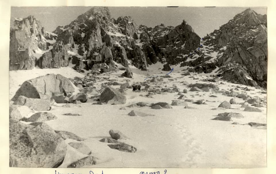 6_image_1.jpg