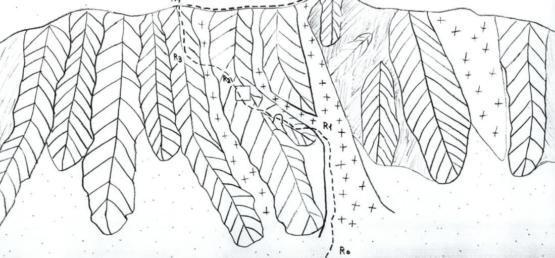 9_image_1.jpg