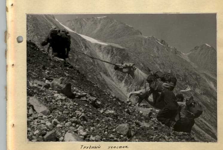 72_image_2.jpg