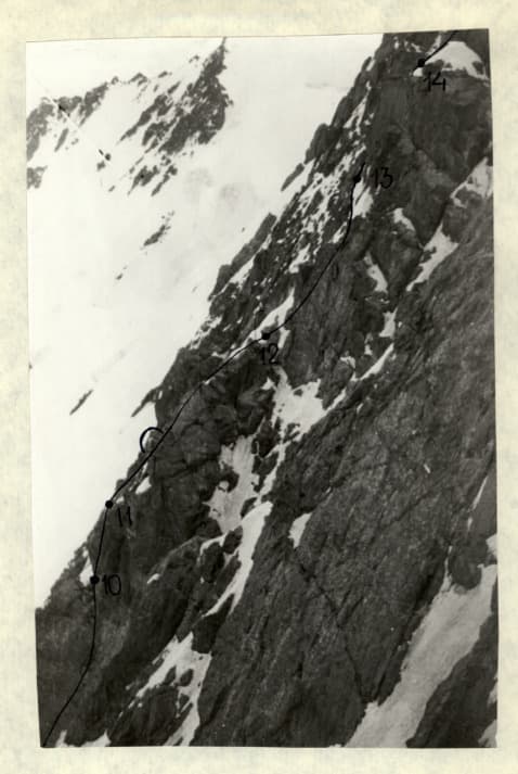 13_image_1.jpg