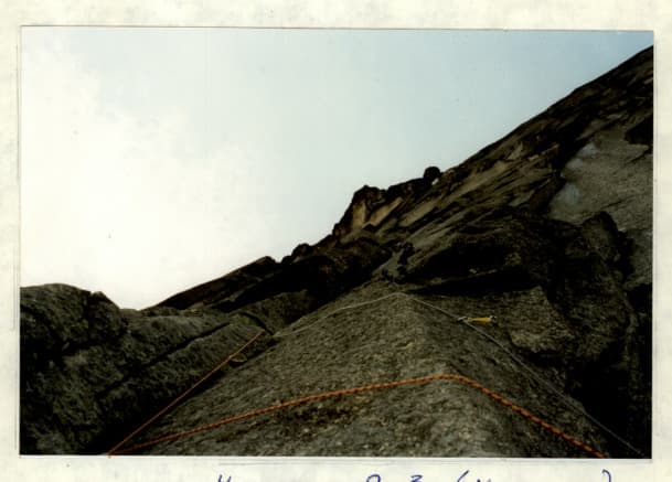 11_image_2.jpg