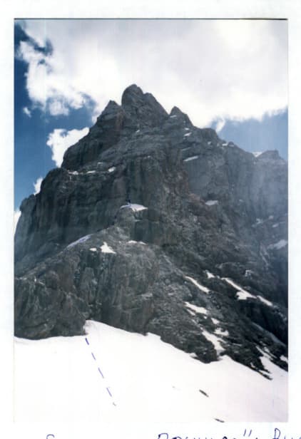 4_image_0.jpg