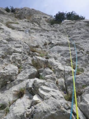 image6.jpeg