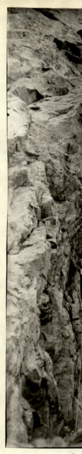 9_image_2.jpg