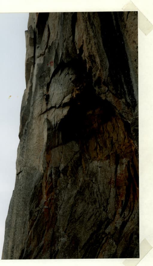 12_image_1.jpg